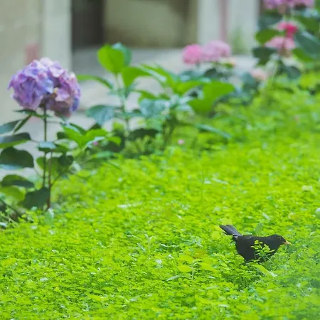 Luxury Padre Pio * Split