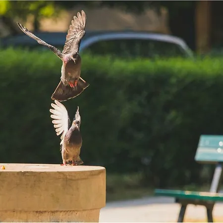 Luxury Padre Pio Apartman